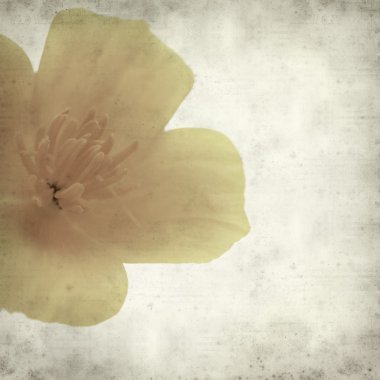 desenli eski kağıt arkaplan  