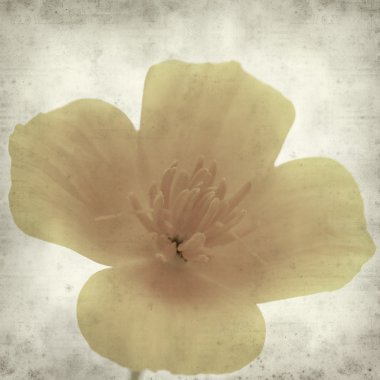 desenli eski kağıt arkaplan  