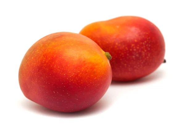 Mango isolerad på vitt — Stockfoto
