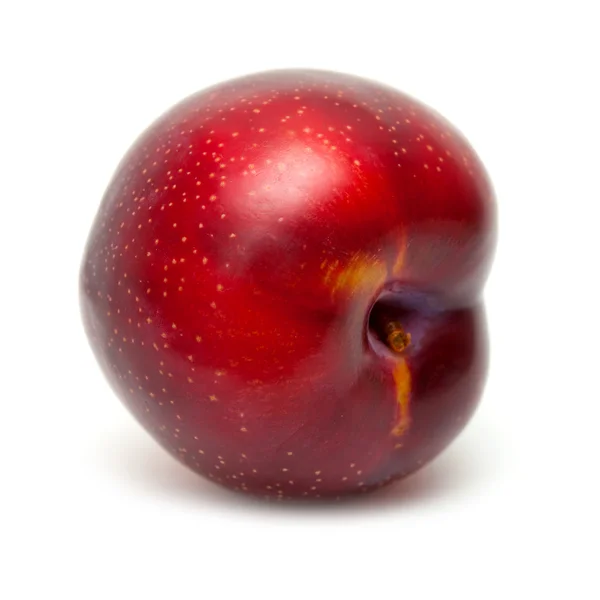 Plums — Stock Photo, Image