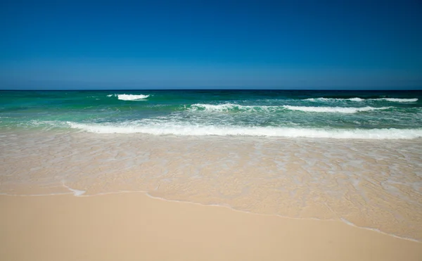 Kuzey fuerteventura, grandes playas — Stok fotoğraf