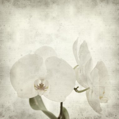 desenli eski kağıt arkaplan  