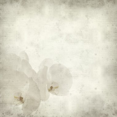 desenli eski kağıt arkaplan  