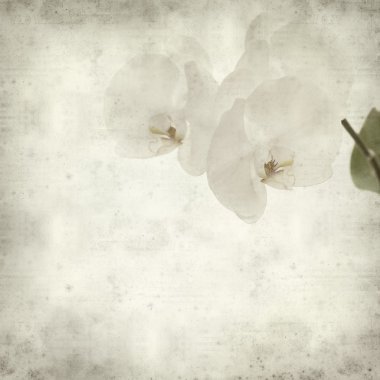 desenli eski kağıt arkaplan  