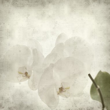 desenli eski kağıt arkaplan  