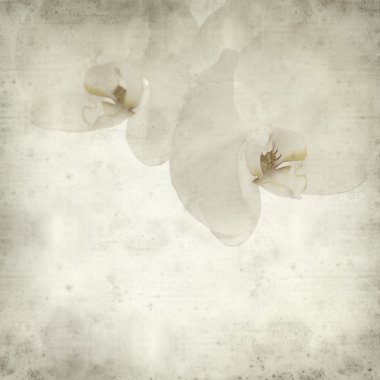 desenli eski kağıt arkaplan  