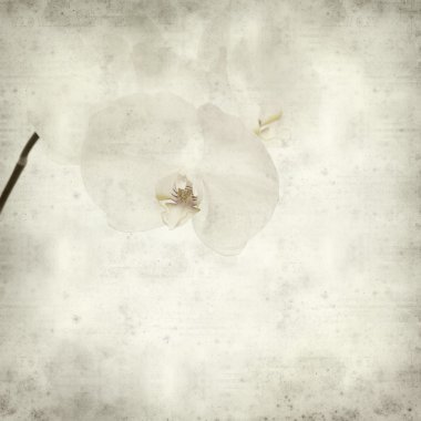 desenli eski kağıt arkaplan  