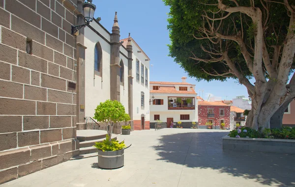Gran Canaria, Santa Brigida — Stockfoto