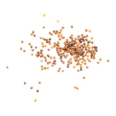 Küçük roket salatası tohumları, Kanarya Adaları yerel ürünleri, İspanya