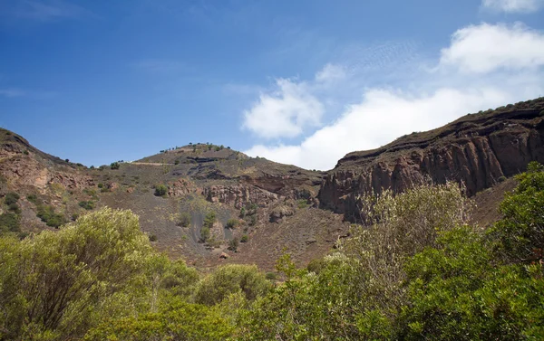 Gran Canaria, Caldera de Bandama — Zdjęcie stockowe