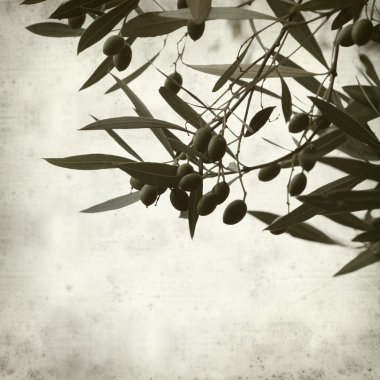 eski taş merdivenle