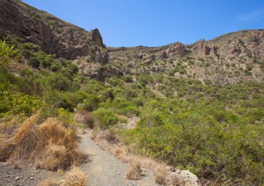Gran Canaria, Caldera de Bandama