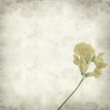 desenli eski kağıt arkaplan  