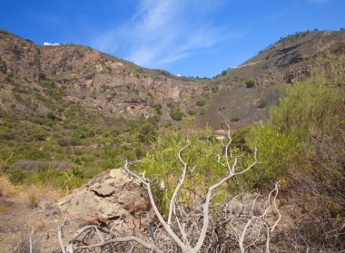 Gran Canaria, Caldera de Bandama