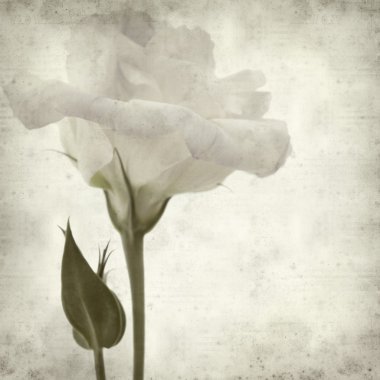 desenli eski kağıt arkaplan  