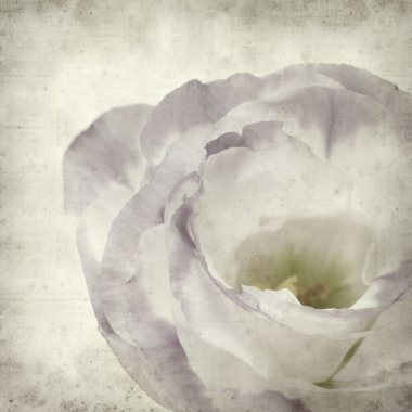 desenli eski kağıt arkaplan  