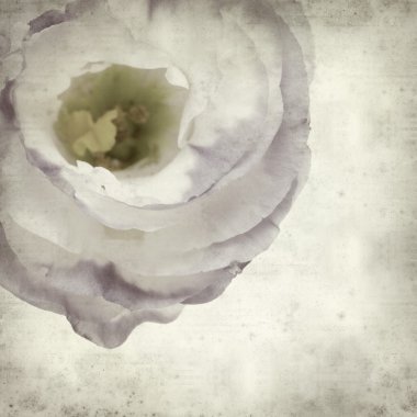 desenli eski kağıt arkaplan  