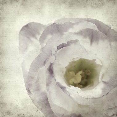 desenli eski kağıt arkaplan  