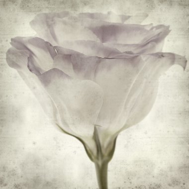 desenli eski kağıt arkaplan