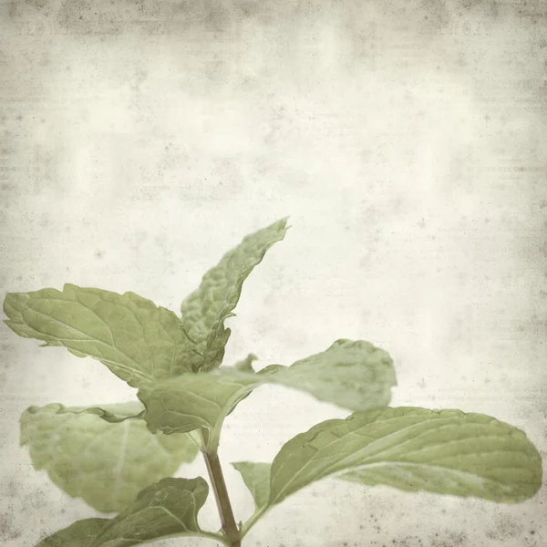 Textured old paper background — Stock Photo, Image