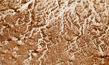 Kahve telvesi kehaneti, kahve içtikten sonra beyaz bir yüzeyde ortaya çıkan desenler. 