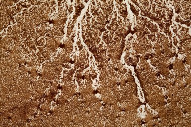 Kahve telvesi kehaneti, kahve içtikten sonra beyaz bir yüzeyde ortaya çıkan desenler. 