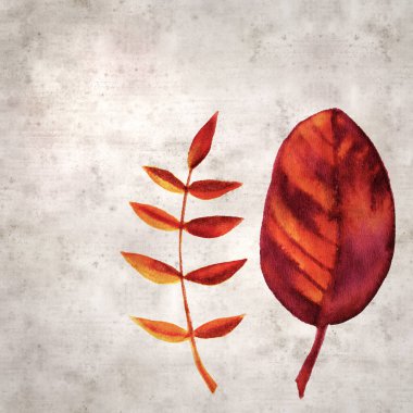 Sonbahar yapraklarının renk mürekkebi ile biçimlendirilmiş eski kağıt arkaplan