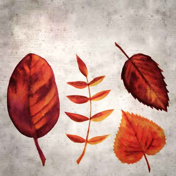 用彩色油墨涂覆秋天叶子的风格质感古旧的纸张背景 — 图库照片
