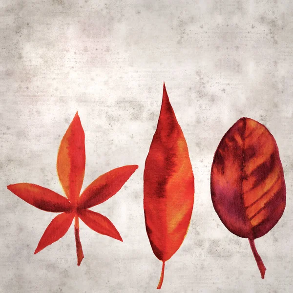 用彩色油墨涂覆秋天叶子的风格质感古旧的纸张背景 — 图库照片