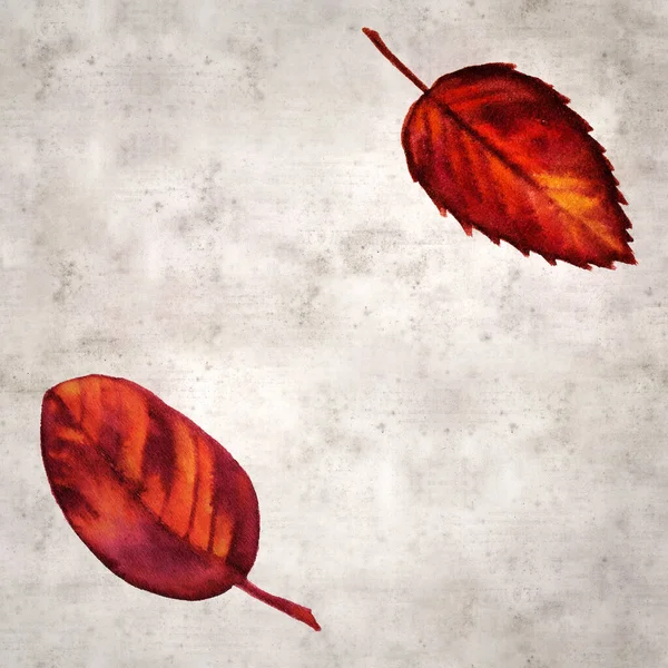 Stylové Texturované Staré Papírové Pozadí Podzimní Listy Barvě Inkoustu — Stock fotografie