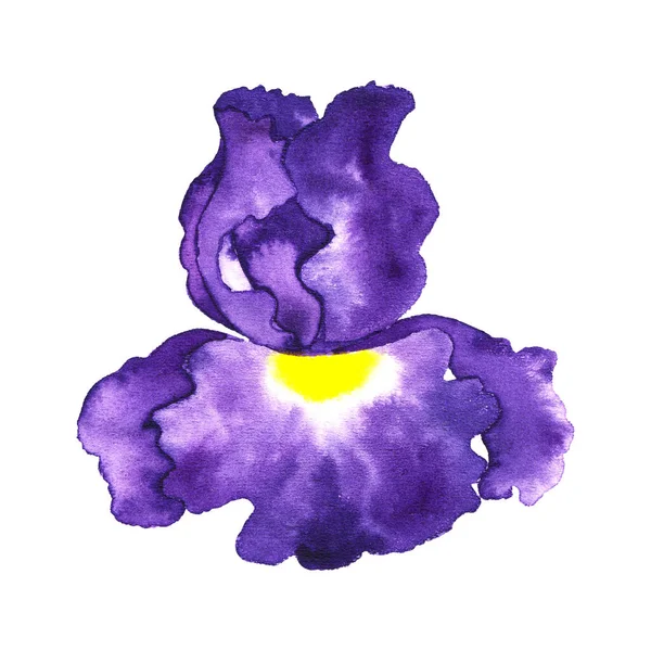 Mooie Gestileerde Irisbloem Aquarel Witte Achtergrond — Stockfoto