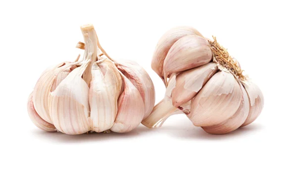 Knoblauch isoliert — Stockfoto