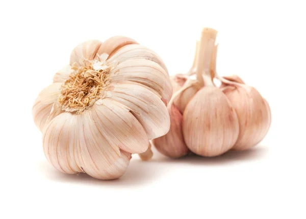 Knoblauch isoliert — Stockfoto