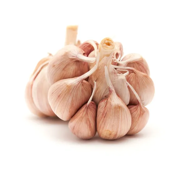 Knoblauch isoliert — Stockfoto