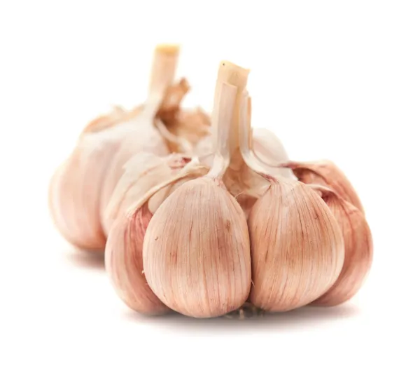 Knoblauch isoliert — Stockfoto