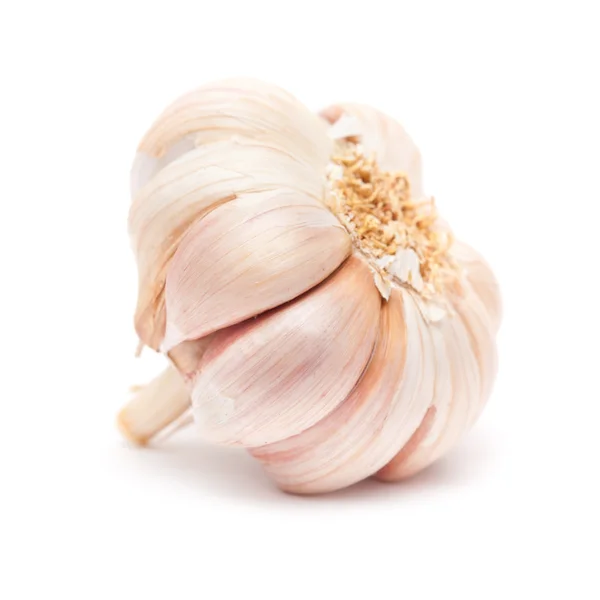 Garlic isolated — Stock Photo, Image