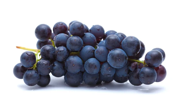 Ciemne winogrona na białym tle — Zdjęcie stockowe