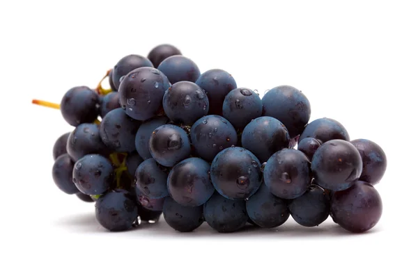 Dark grapes isolated — Stock Photo, Image