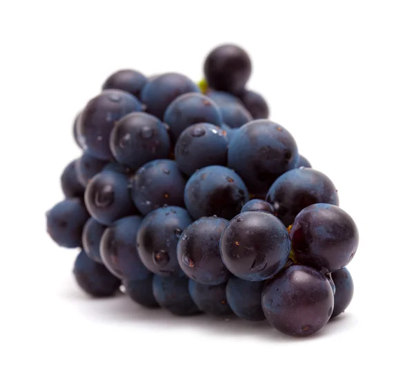 Dark grapes isolated — Stock Photo, Image