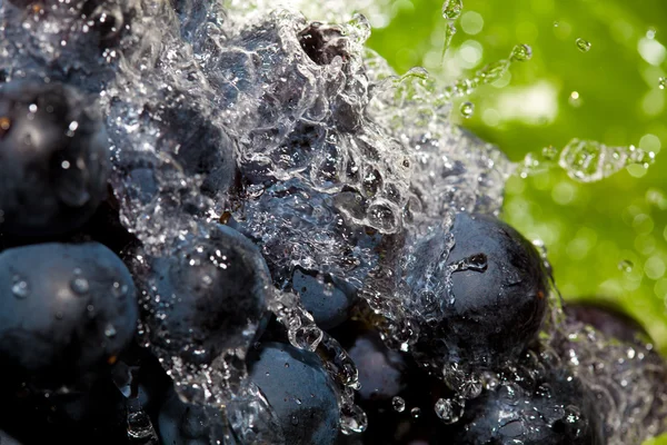 Lavagem de uvas — Fotografia de Stock