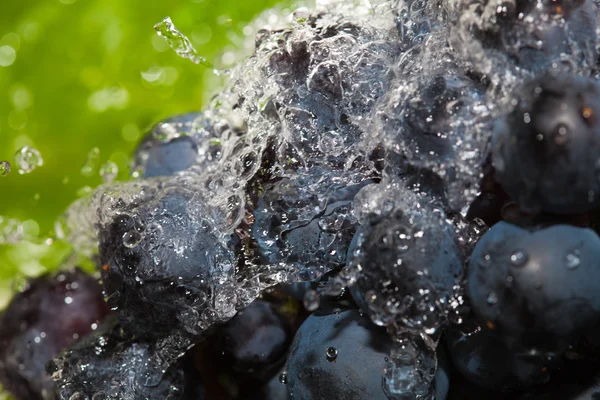 Lavagem de uvas — Fotografia de Stock