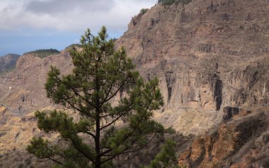 Gran Canaria, adanın merkezi manzarası, Las Cumbres, ie The Summits, Caldera de Tejeda coğrafi merkezi, Cruz de Tejeda geçidi çevresinden