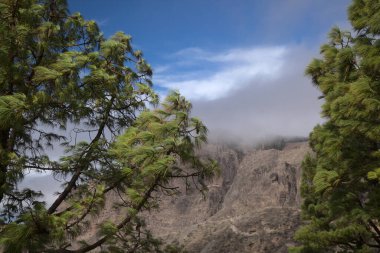 Gran Canaria, adanın merkezi manzarası, Las Cumbres, ie The Summits, Caldera de Tejeda coğrafi merkezi, Cruz de Tejeda geçidi çevresinden