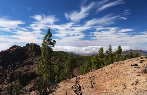Gran Canaria Centrální Montainous Části Ostrova Las Cumbres Summity Krajiny — Stock fotografie