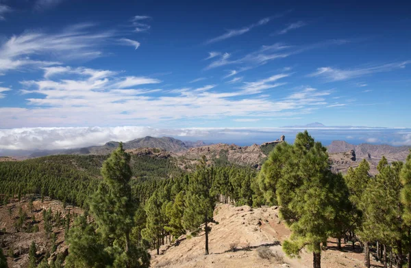 Gran Canaria Parte Central Montanhosa Ilha Las Cumbres Seja Cumes — Fotografia de Stock