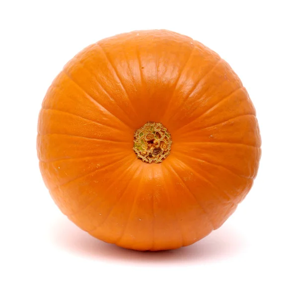 Orange Pumpkin Isolated White Background — Stock Photo, Image