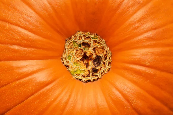 Halloween Canvas Orange Pumpkin Skin Natural Macro Food Background — Stock Photo, Image