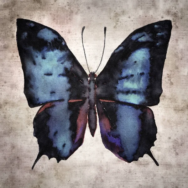 Stylowe Teksturowane Stare Tło Papieru Baeotus Aelius Amazon Piękno Motyl — Zdjęcie stockowe
