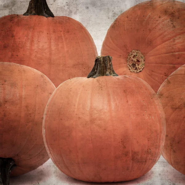 Cuadrado Elegante Viejo Texturizado Fondo Papel Con Naranja Calabaza Halloween —  Fotos de Stock