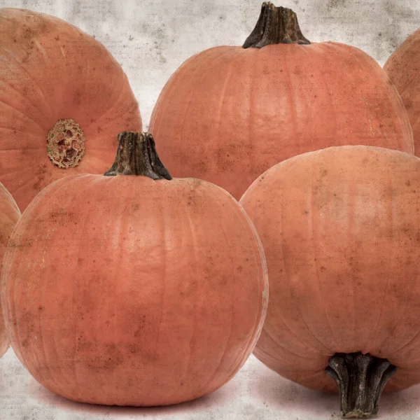 Cuadrado Elegante Viejo Texturizado Fondo Papel Con Naranja Calabaza Halloween —  Fotos de Stock